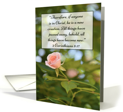 Pink Rose Scripture Adult Baptism Congratulations card (397139)