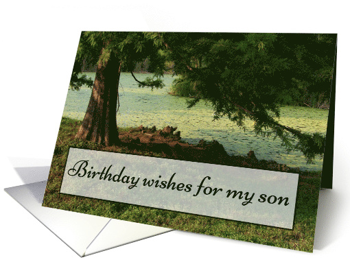 Happy Birthday, Son, Tree and Water. card (496048)