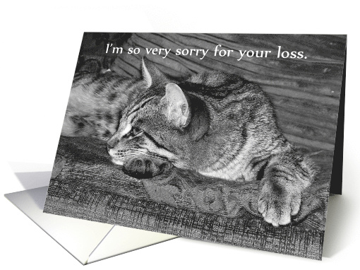 Tabby Cat Loss of Cat Sympathy card (582854)