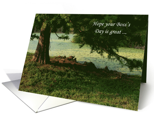 Lovely Green Tree Boss's Day Wishes card (814355)