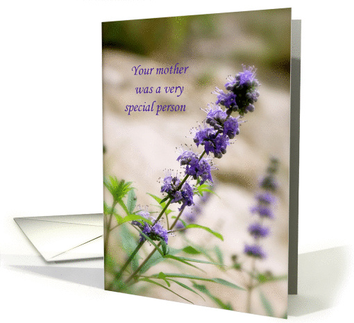 Loss of Mother Sympathy card (843253)