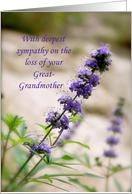 Loss of Great-Grandmother Sympathy card