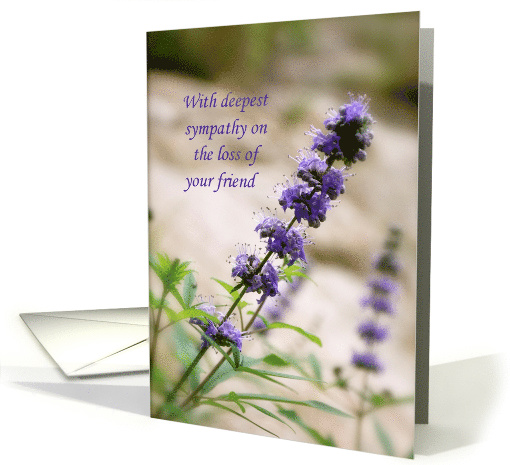 Lovely Flower Loss of Friend Sympathy card (843276)