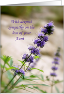 Loss of Aunt Sympathy card