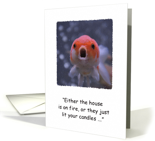 Goldfish birthday humor card (873914)