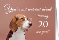 Happy 20th birthday, worried beagle card