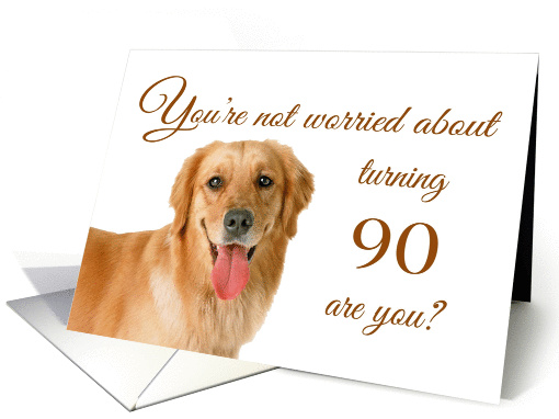 Happy 90th birthday, worried lab card (1149806)