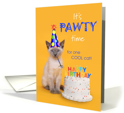 Birthday Pawty Time for One Cool Cat card (1825580)
