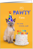 Birthday Pawty Time for One Cool Cat card
