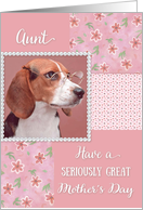 Serious Beagle - Mother’s Day for Aunt card