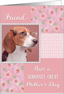 Serious Beagle - Mother’s Day for Friend card