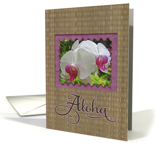 Aloha - Hawaiian thinking of you orchids card (434800)