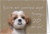 Happy 20th birthday, worried dog card