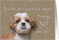 Happy 30th birthday, worried dog card