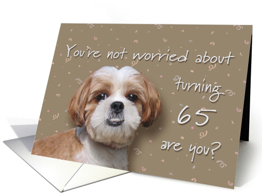 Happy 65th birthday, worried dog card (630969)