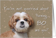 Happy 80th birthday, worried dog card