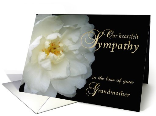 Loss of Grandmother, Our Sympathy, white flower card (785673)