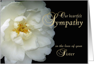 Loss of Sister, Our Sympathy, white flower card