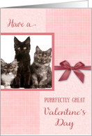 Valentine’s Day Purrrfectly Great Cat Custom Photo card