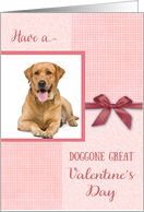 Valentine’s Day Doggone Great Dog Custom Photo card