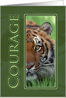 Courage Tiger Cancer...