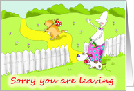 sorry you are leaving card