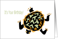 Birthday Turtle card