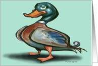 Mallard Duck card