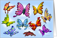 Butterflies card