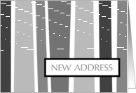new address : vertical stripes card