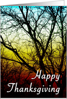 happy thanksgiving : sunset tree card
