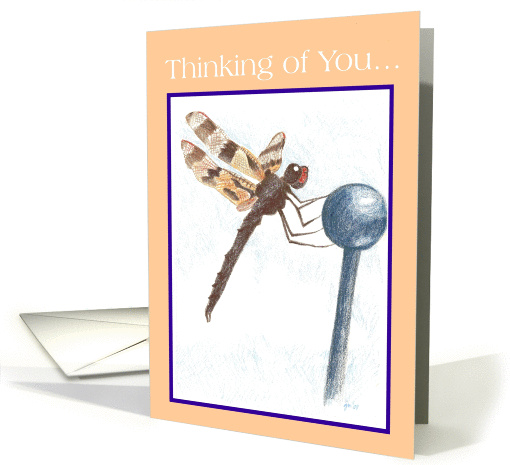 Dragonfly Thinking Of You... card (245679)