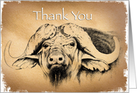 Buffalo Thanks card