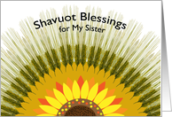 For Sister Shavuot Blessings with Barley Sun Design card