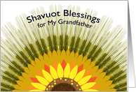 For Grandfather Shavuot Blessings with Barley Sun Design card