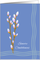 Sincere Condolences with Pussy Willow Catkins Illustration card