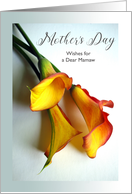 Mamaw Mother’s Day with Mango Colored Calla Lilies Photograph card