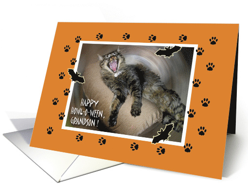 Funny Halloween for Grandson with Yawning Cat card (1184310)