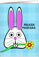 Spanish Easter Felices Pascuas with Bunny Holding a Flower in Mouth card