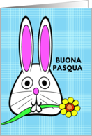 Italian Easter Buona Pasqua with Bunny Holding a Flower in Its Mouth card