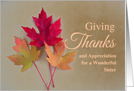 For Sister Thanksgiving with Trio of Grunge Autumn Leaves card