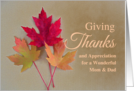 For Mom and Dad with Thanksgiving Trio of Grunge Autumn Leaves card
