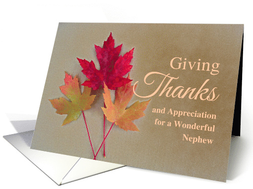 For Nephew Thanksgiving with a Trio of Grunge Autumn Leaves card