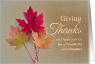 For Grandmother Thanksgiving with Trio of Autumn Leaves card