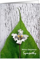 Sympathy on Loss of Nana with Catalpa Bloom Leaf and Wood card