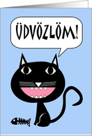 dvzlm! Hello in Hungarian, Black Cat with Fish Bones card