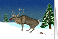 Funny Belated Christmas with Deer Pooping Because Nature Called card