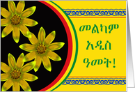 Ethiopian New Year in Amharic, Meskel Daisy Flowers card