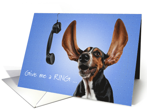 National Ding-a-Ling Day, Cute Long Eared Dog with Phone card