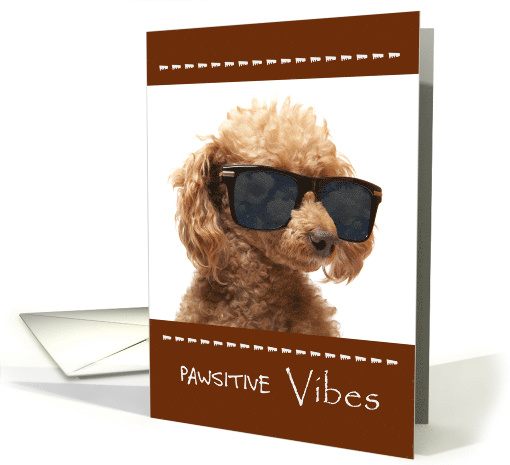 Pawsitive Vibes Birthday with Red Standard Poodle Puppy card (1551036)